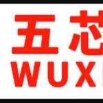 WUXINJI